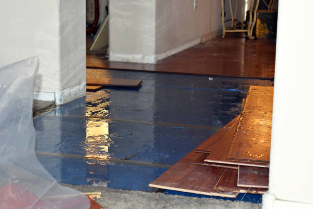 Professional Emergency Water Damage Restoration technician working in Covington, TX